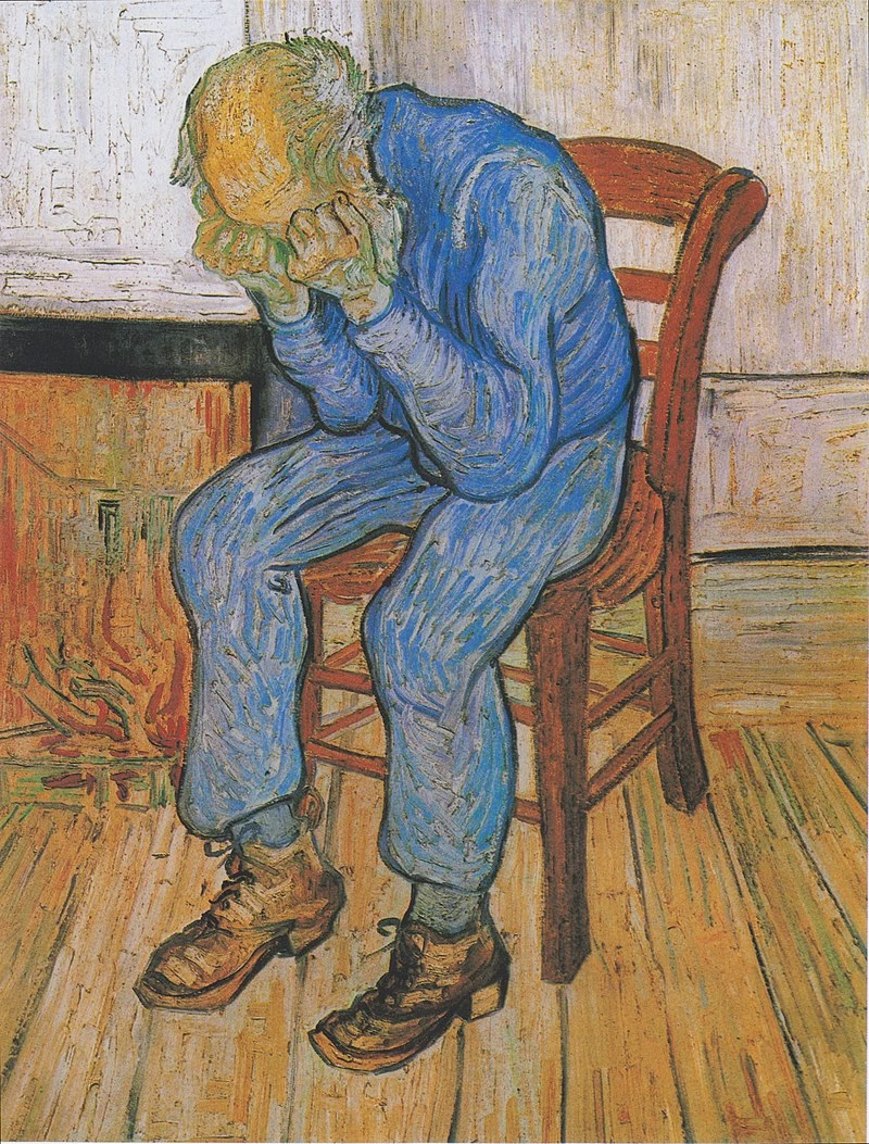  5-Vincent van Gogh-Atrio dell'ospedale Saint-Paul - Museo Van Gogh, Amsterdam 